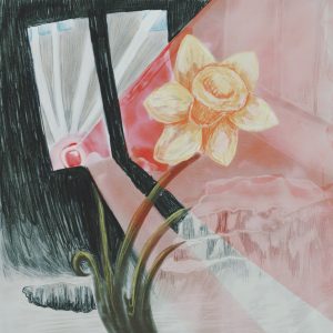A yellow flower faces upwards, growing out of a green stem. Behind, red light from a siren floods through a window. The walls behind the flower and framing the window are black.