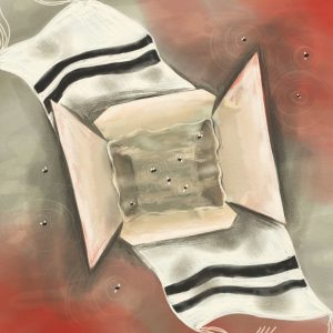 The viewer looks down on an open Chinese take-out pail, which appears submerged in water. Flies float around the water, both within and outside the pail. A tallit stretches under the pail from the top-left to bottom-right of the illustration. Red tones fill the opposite corners.