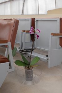 Installation view of The Histories (Le Mancenillier) in Beth Sholom Synagogue. In the center of the image, a potted orchid on a clear plastic oversized plant saucer is on the floor between two rows of chairs. Just behind the orchid, on the left, is a partial view of a plastic saucer and leaves of another orchid. 