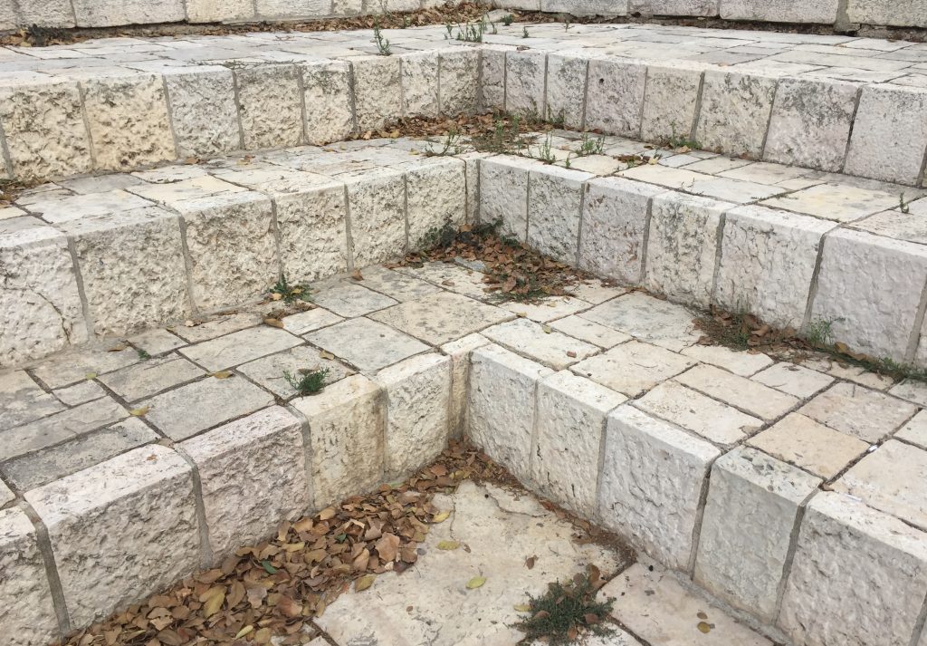 Photograph of three steps of Jerusalem limestone. The steps meet at a corner at the center of the photograph with small piles of dried brown leaves along the steps and in a larger pile on the lower left corner. Small green plants have grown between the cracks of the limestone.